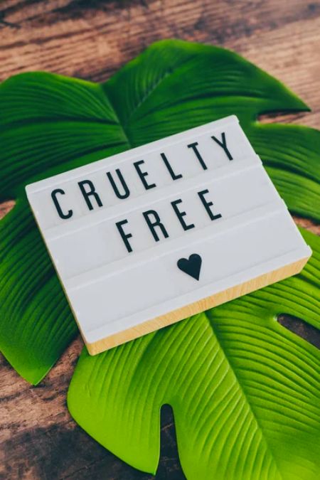 Is Clinique Cruelty-Free?